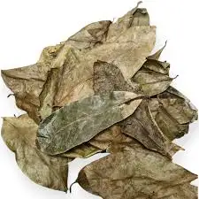 Feuilles de Corossol - Téranga d'Afrique