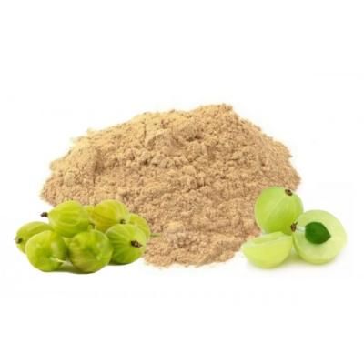 Poudre Amla - Téranga d'Afrique