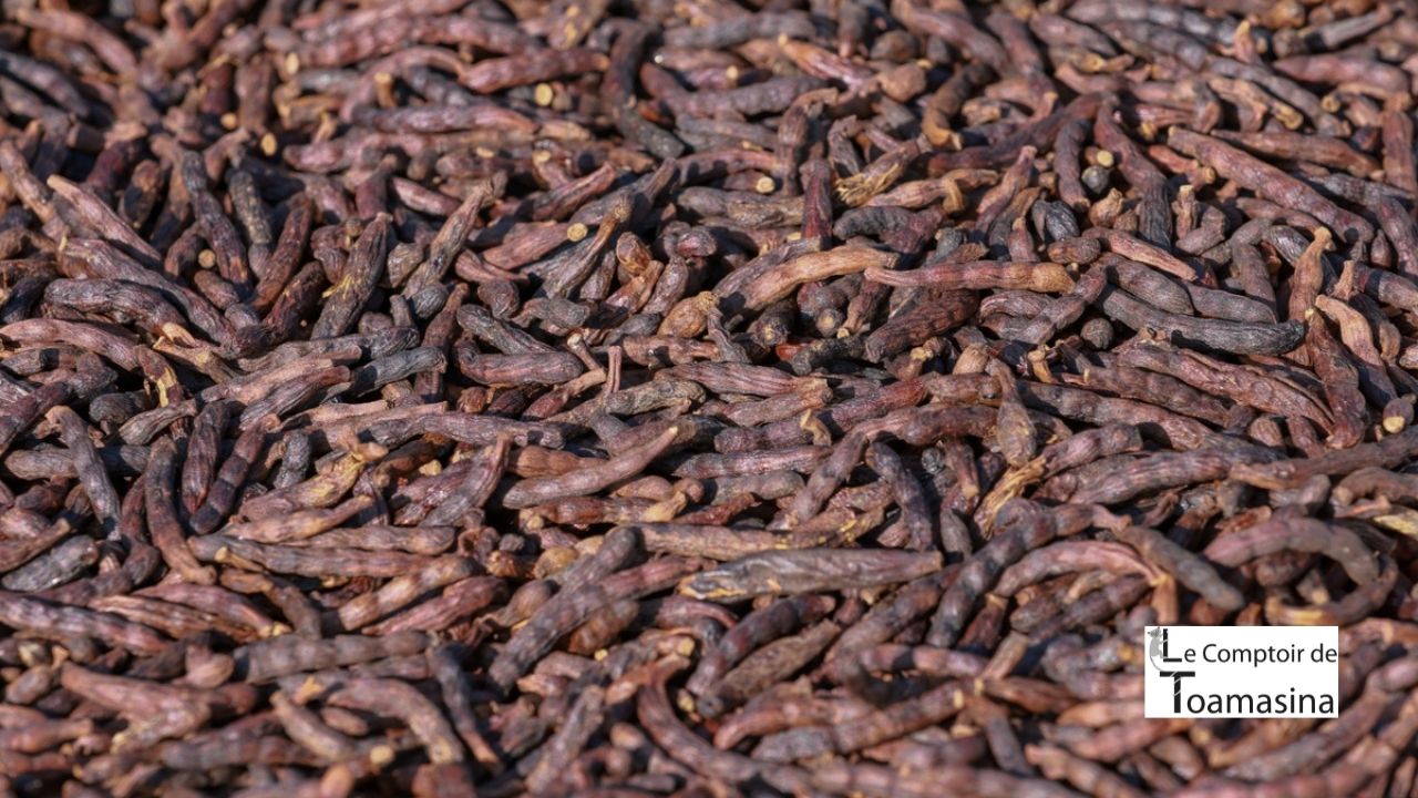 Poivre Africain (Selim)